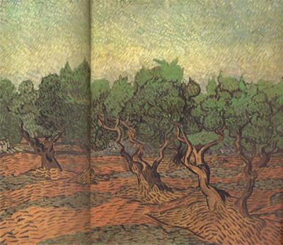 Vincent Van Gogh Olive Grove (nn04) oil painting picture